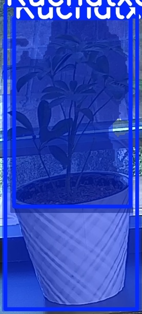 TREE-000011_20260623_053632.jpg