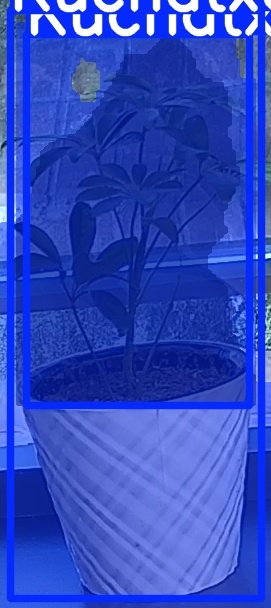 TREE-000011_20260623_054012.jpg