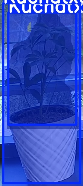 TREE-000011_20260623_054122.jpg