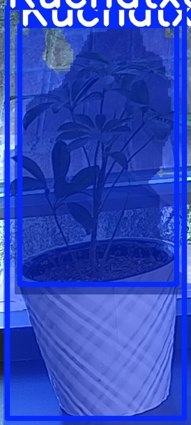 TREE-000011_20260623_054633.jpg