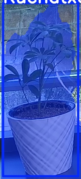 TREE-000011_20260623_054742.jpg