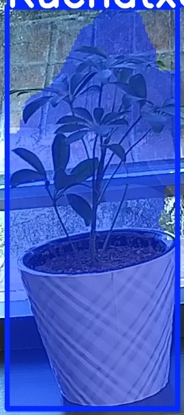 TREE-000011_20260623_063827.jpg
