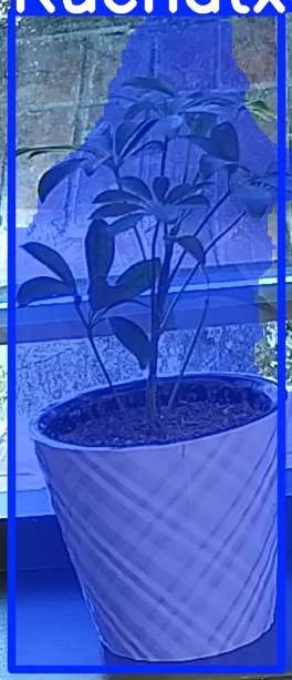 TREE-000011_20260623_063942.jpg