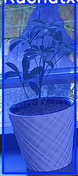 TREE-000011_20260623_064051.jpg