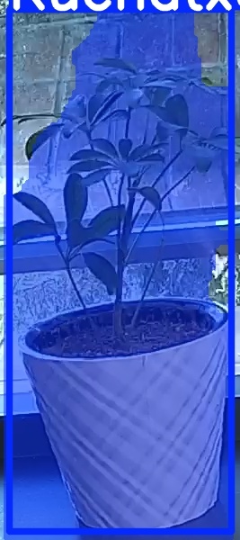 TREE-000011_20260623_064201.jpg