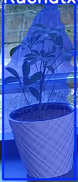 TREE-000011_20260623_064310.jpg