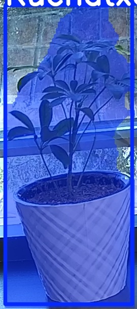 TREE-000011_20260623_064434.jpg