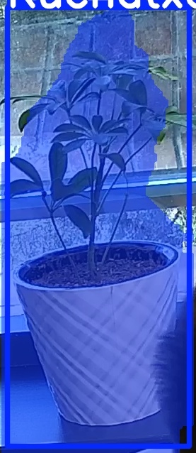 TREE-000011_20260623_065055.jpg