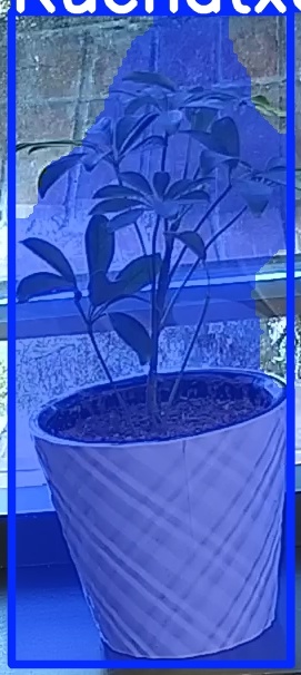 TREE-000011_20260623_065209.jpg