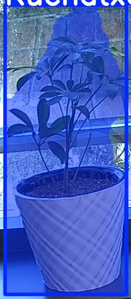 TREE-000011_20260623_073837.jpg