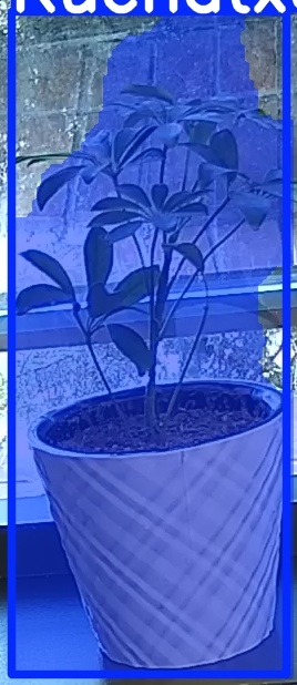 TREE-000011_20260623_073948.jpg