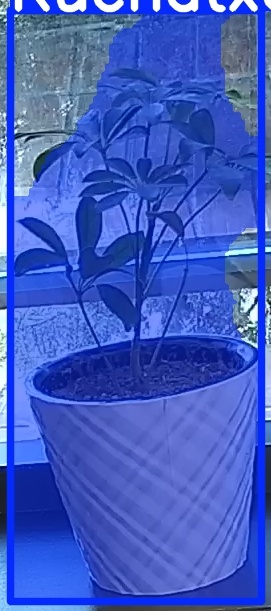 TREE-000011_20260623_074209.jpg