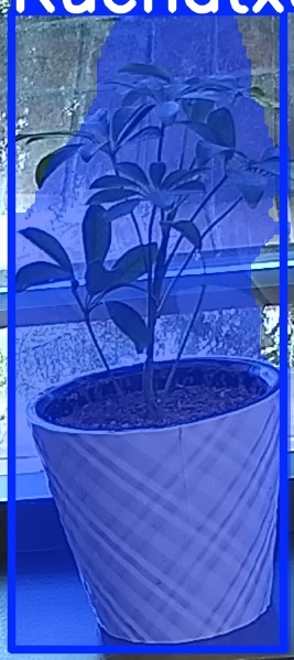 TREE-000011_20260623_074332.jpg