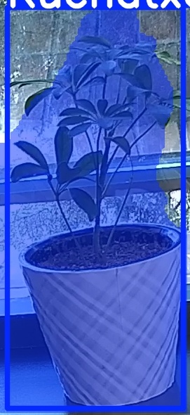TREE-000011_20260623_074552.jpg