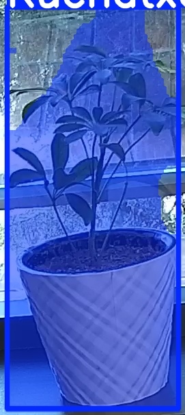 TREE-000011_20260623_075048.jpg
