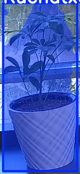 TREE-000011_20260623_075158.jpg