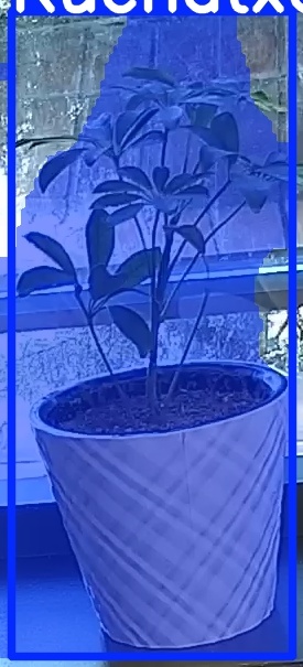 TREE-000011_20260623_075311.jpg