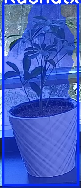 TREE-000011_20260623_075913.jpg