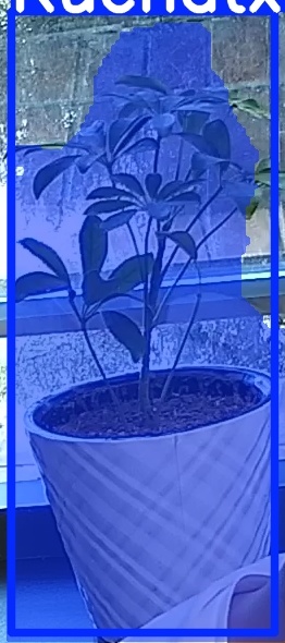TREE-000011_20260623_080133.jpg