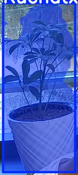 TREE-000011_20260623_080244.jpg