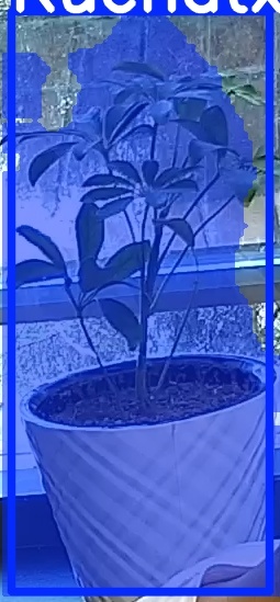 TREE-000011_20260623_080504.jpg