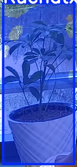 TREE-000011_20260623_080734.jpg