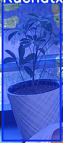 TREE-000011_20260623_080955.jpg