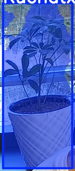 TREE-000011_20260623_081105.jpg