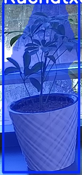 TREE-000011_20260623_081709.jpg