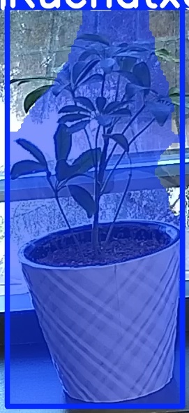 TREE-000011_20260623_082831.jpg