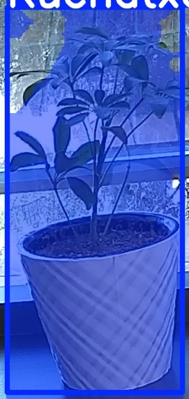 TREE-000011_20260623_082941.jpg