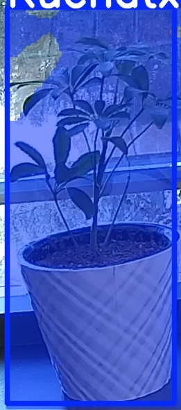 TREE-000011_20260623_083204.jpg