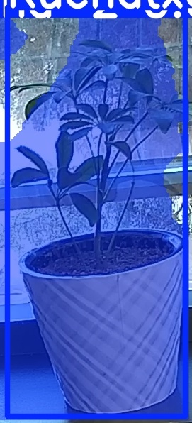 TREE-000011_20260623_083659.jpg