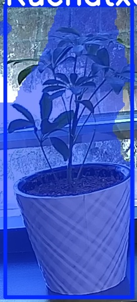 TREE-000011_20260623_083924.jpg