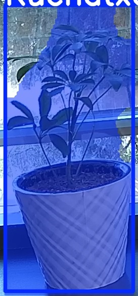 TREE-000011_20260623_084036.jpg