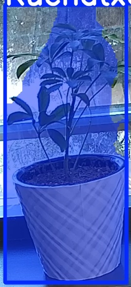 TREE-000011_20260623_084405.jpg