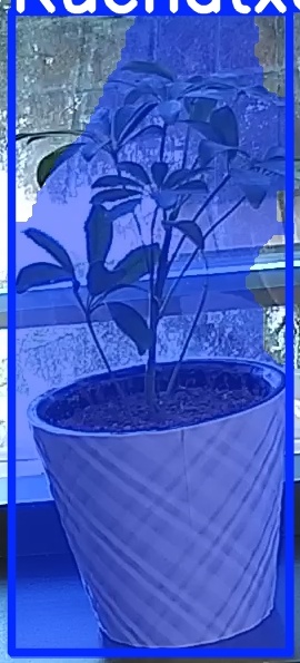 TREE-000011_20260623_084608.jpg