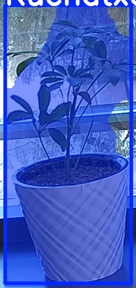 TREE-000011_20260623_084721.jpg