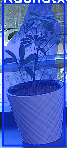 TREE-000011_20260623_085332.jpg