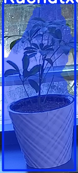 TREE-000011_20260623_085442.jpg
