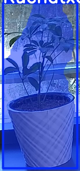 TREE-000011_20260623_085553.jpg