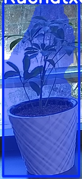 TREE-000011_20260623_085702.jpg
