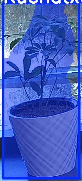 TREE-000011_20260623_085751.jpg
