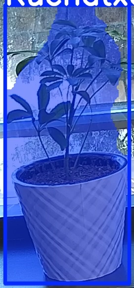 TREE-000011_20260623_085905.jpg