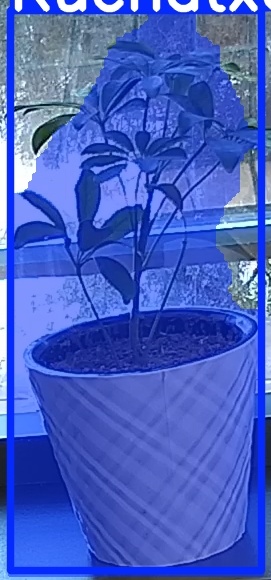 TREE-000011_20260623_091205.jpg