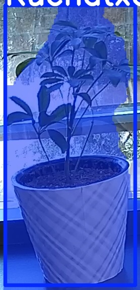 TREE-000011_20260623_091443.jpg