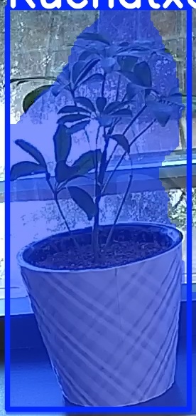 TREE-000011_20260623_091552.jpg