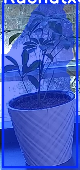 TREE-000011_20260623_091856.jpg