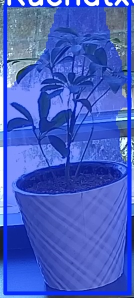 TREE-000011_20260623_091930.jpg