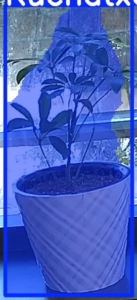 TREE-000011_20260623_091943.jpg